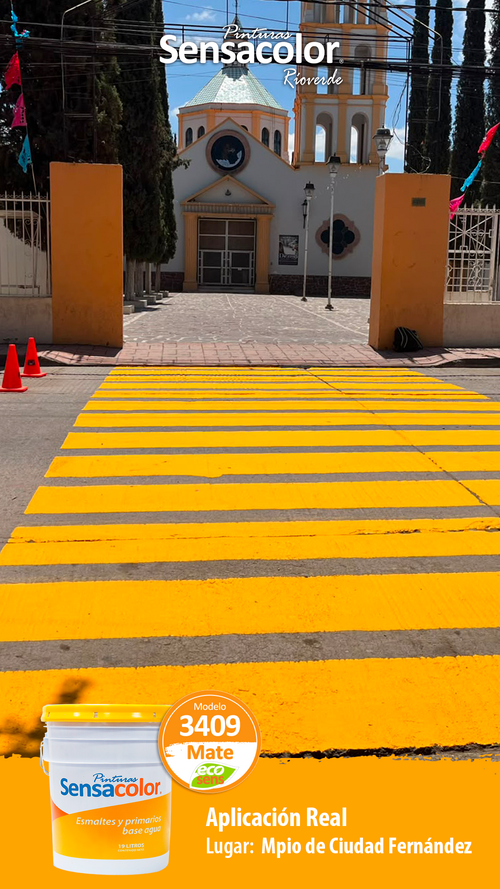 Municipio Ciudad Fernandez