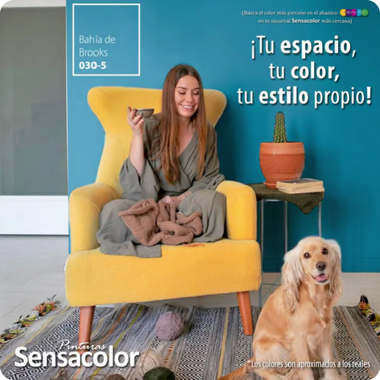 Colores – Sensacolor